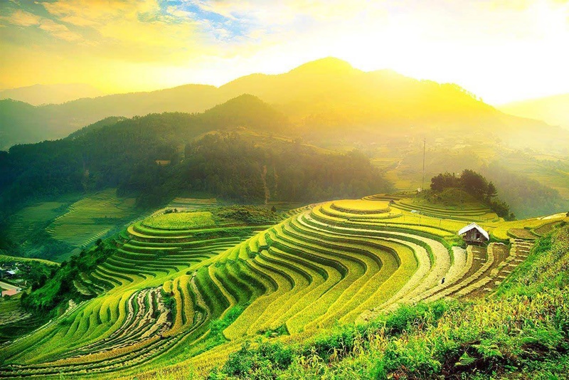 Tour Miền Bắc 4N3D: HCM – Yên Bái – Điện Biên – Mai Châu – Mộc Châu – Hòa Bình giá chỉ từ 5.988.000 VND/khách