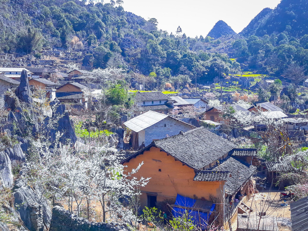 Mùa xuân đẹp nức lòng ở Sủng Là. Ảnh: Tuan Hao.