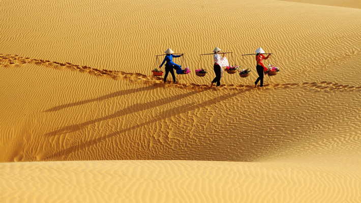 tour-phan-thiet-ivivu-2-1 tour-phan-thiet-ivivu-2