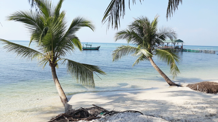 Lặn ngắm sao biển tour Phú Quốc 1N