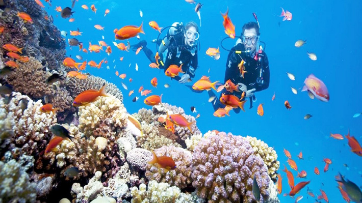 Lặn ngắm san hô trong tour Phú Quốc 3N2Đ Lặn ngắm san hô trong tour Phú Quốc 3N2Đ
