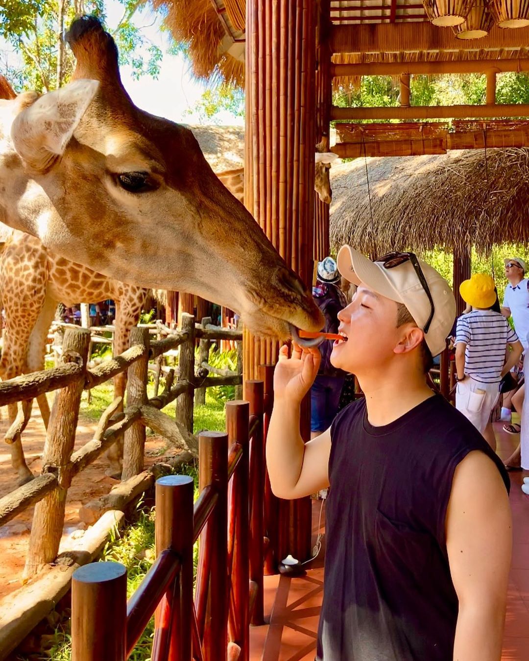 Vinpearl Safari trong tour Phú Quốc