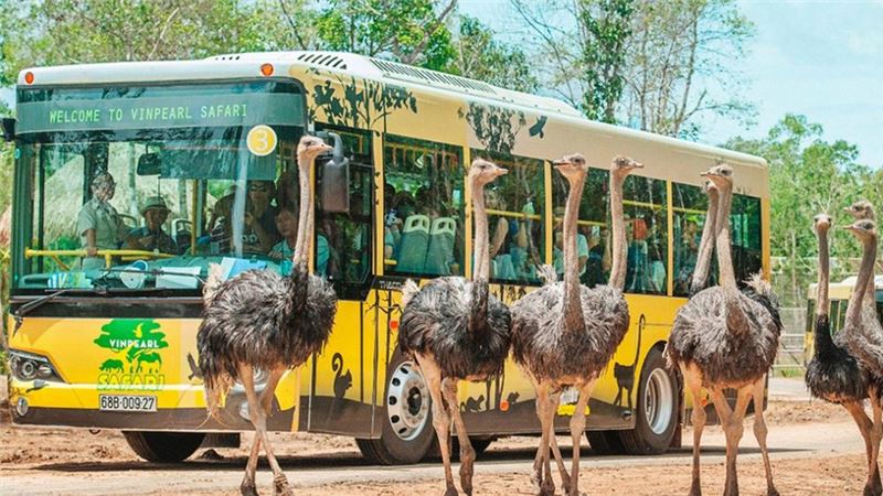 Vinpearl Safari Phú Quốc động vật hoang dã