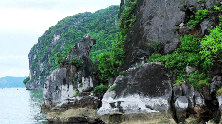 tour-quang-ninh-3n2d-ivivu-52 tour-quang-ninh-3n2d-ivivu-5