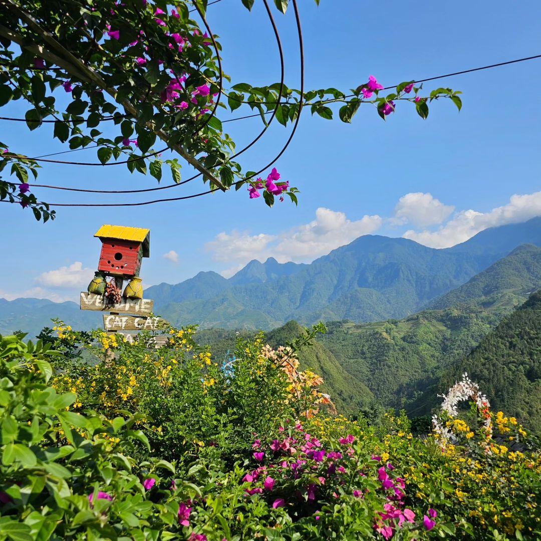 Nếp nhà gỗ tại bản Cát Cát tour Sapa 3N2Đ