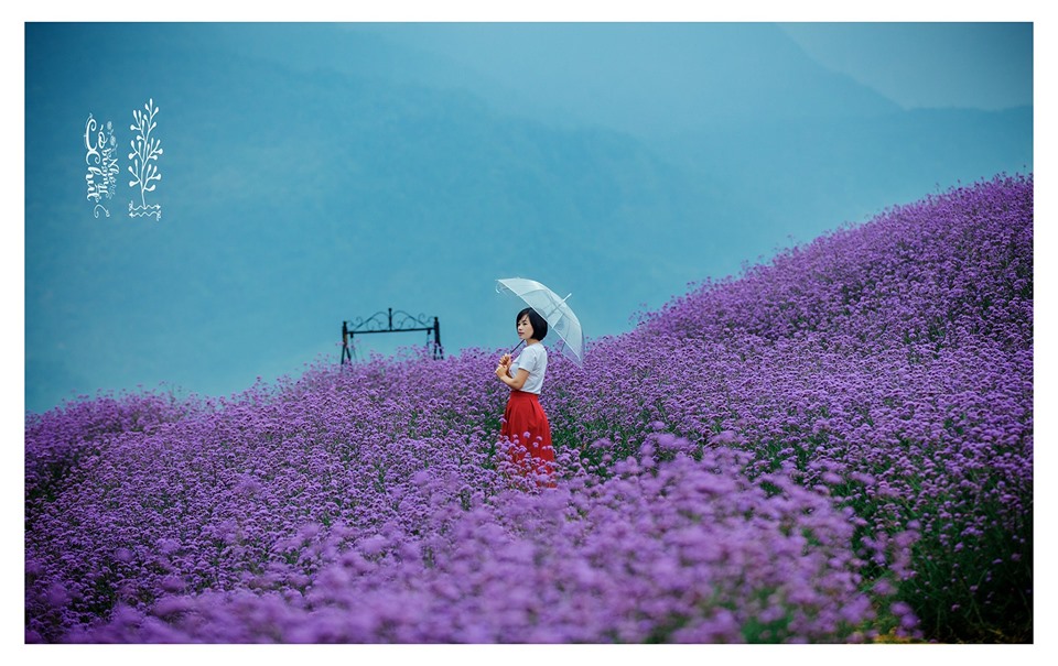 Cảnh đẹp tour Sapa 3N2D