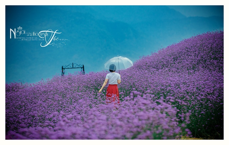 Hoàng Liên Sơn tour Sapa 3N2D