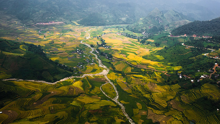 Đại ngàn Tây Bắc