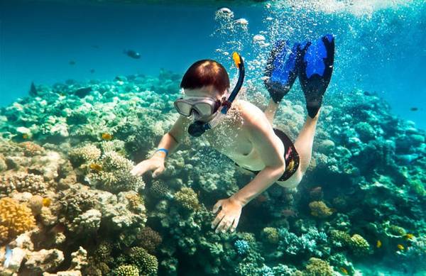 Hoạt động lặn ngắm san hô trong tour Tết Bình Ba