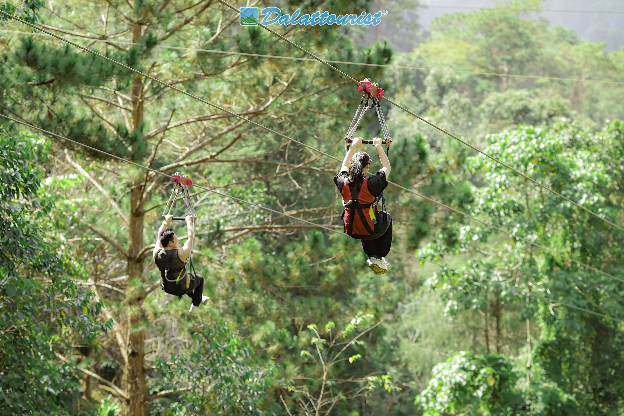 Zipline xuyên rừng tại thác Datanla Đà Lạt