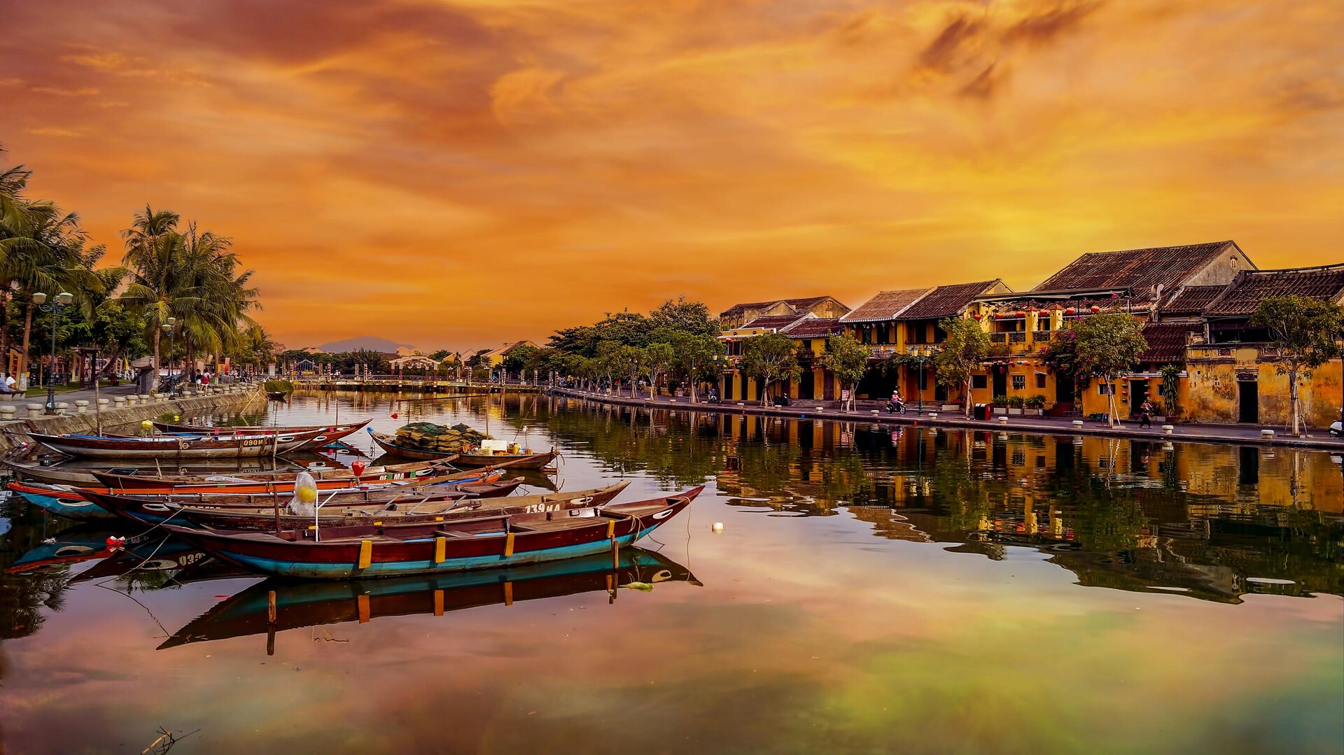 tour-tet-da-nang-ivivu5