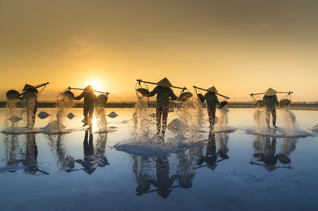 Cánh đồng muối Cà Ná trong tour Tết Nguyên Đán 2025