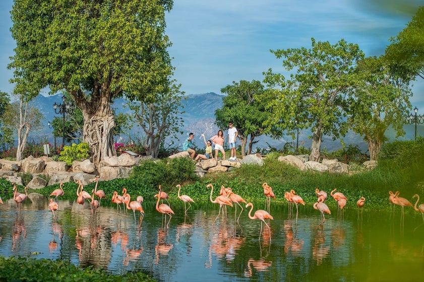 Vinpearl Land Safari trong tour Tết Phú Quốc
