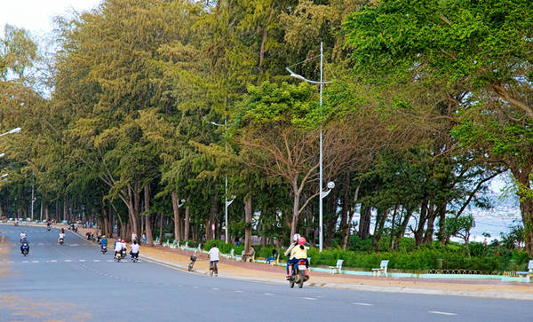Con đường xinh đẹp chạy dọc theo biển Đồi Dương