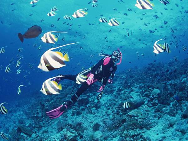 Lặn biển ngắm san hô trong Tour Tết Phú Quốc