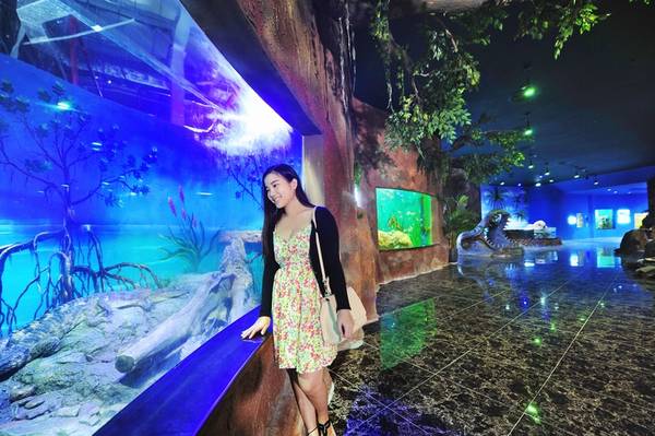 Ngắm sinh vật biển độc đáo tại Thủy cung Vinpearl