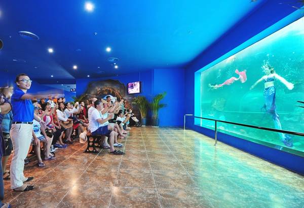 Chương trình biểu diễn nàng tiên cá tại Vinpearl Land