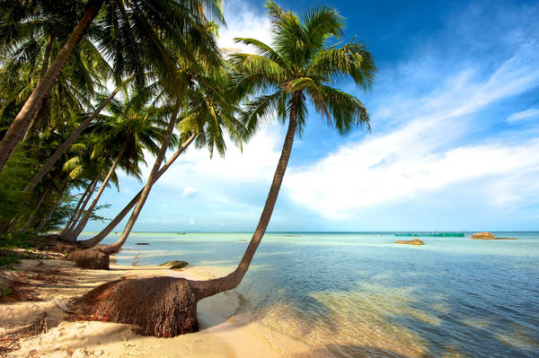 Tour Tết Phú Quốc: Khám phá vẻ đẹp hoang sơ của đảo ngọc