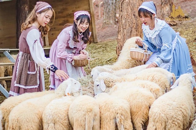 Trải nghiệm ở vườn thú. Ảnh: wonderlanddalat