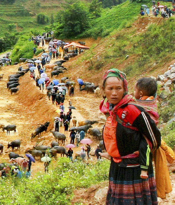 Người phụ nữ H'Mông chờ chồng bán trâu dưới chợ.