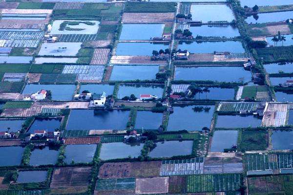Toàn cảnh vịnh Hạ Long nhìn từ trên cao. Toàn cảnh vịnh Hạ Long nhìn từ trên cao.