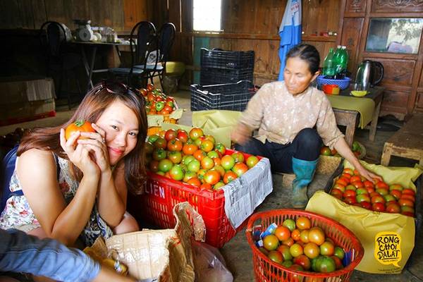 Trải nghiệm du lịch nhà vườn Đà Lạt phù hợp với mọi lứa tuổi.