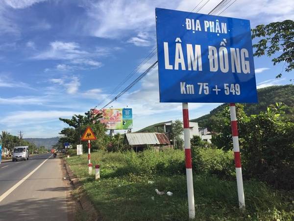 Cung đường từ TP HCM đi Đà Lạt với khung cảnh đẹp và hoa dã quỳ