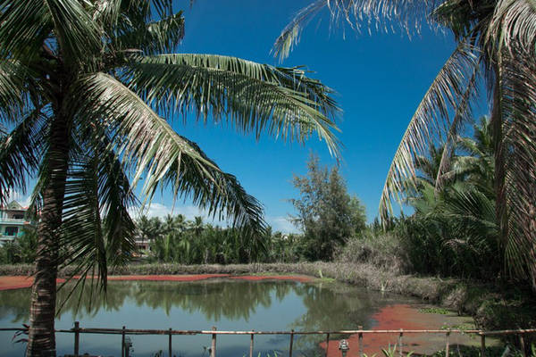 trai-nghiem-mot-hoi-an-tho-mong-voi-2-villa-moi-cuc-dep-va-cuc-enh-uong-ivivu-6 trai-nghiem-mot-hoi-an-tho-mong-voi-2-villa-moi-cuc-dep-va-cuc-enh-uong-ivivu-6