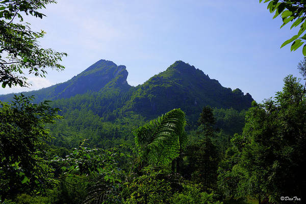 Đỉnh Hàm Rồng khi du lịch Sapa