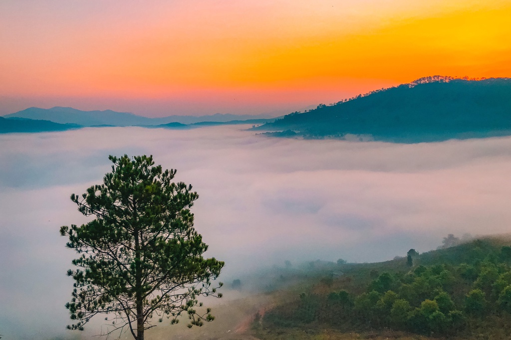 Trong trường hợp quá lười để thực hiện chuyến săn mây, du khách hoàn toàn có thể trải nghiệm ngắm khung cảnh này ngay trong phòng. Đà Lạt có nhiều homestay đẹp với view đồi núi. Chỉ cần chịu khó dậy sớm, bạn đã có thể ngắm trọn quang cảnh mây phủ khắp đồi núi.