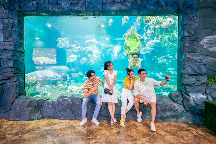 Thủy cung Vinpearl Aquarium Times City