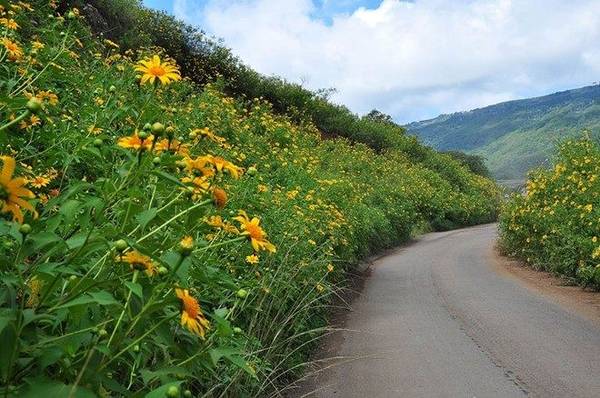 Trải nghiệm thú vị khi du lịch Đà Lạt tháng 11