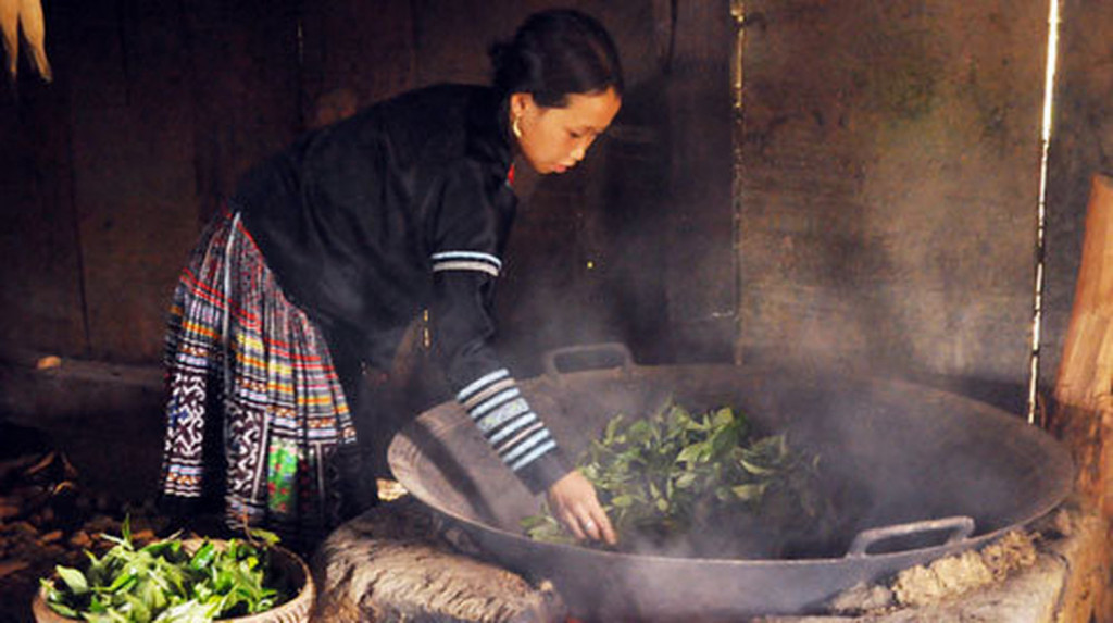 Sấy khô lá trà Shan Tuyết