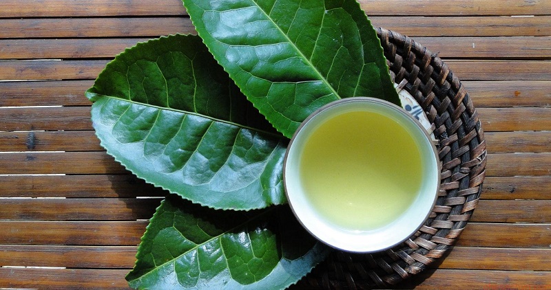 Lên Suối Giàng thưởng thức trà Shan Tuyết. Ảnh minh họa.