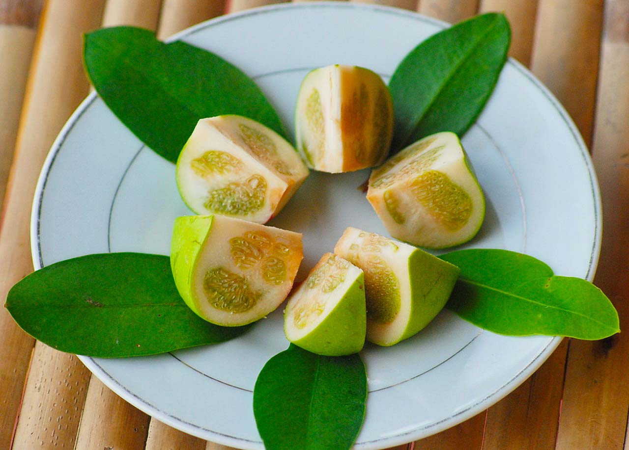Trái bần miền Tây