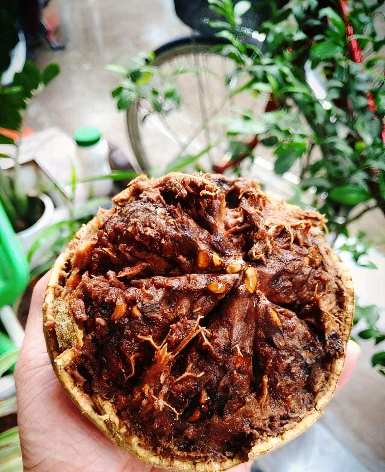 Trái quách đặc sản Trà Vinh