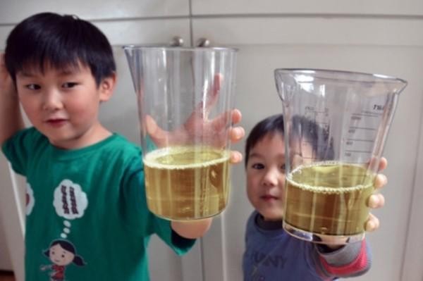 Ảnh minh họa món trứng đồng nam