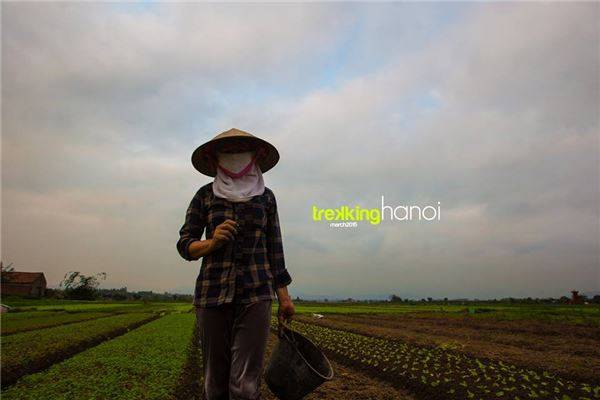 trekking-ha-noi-desmond-wong-ivivu-14