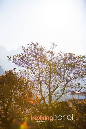 trekking-ha-noi-desmond-wong-ivivu-17