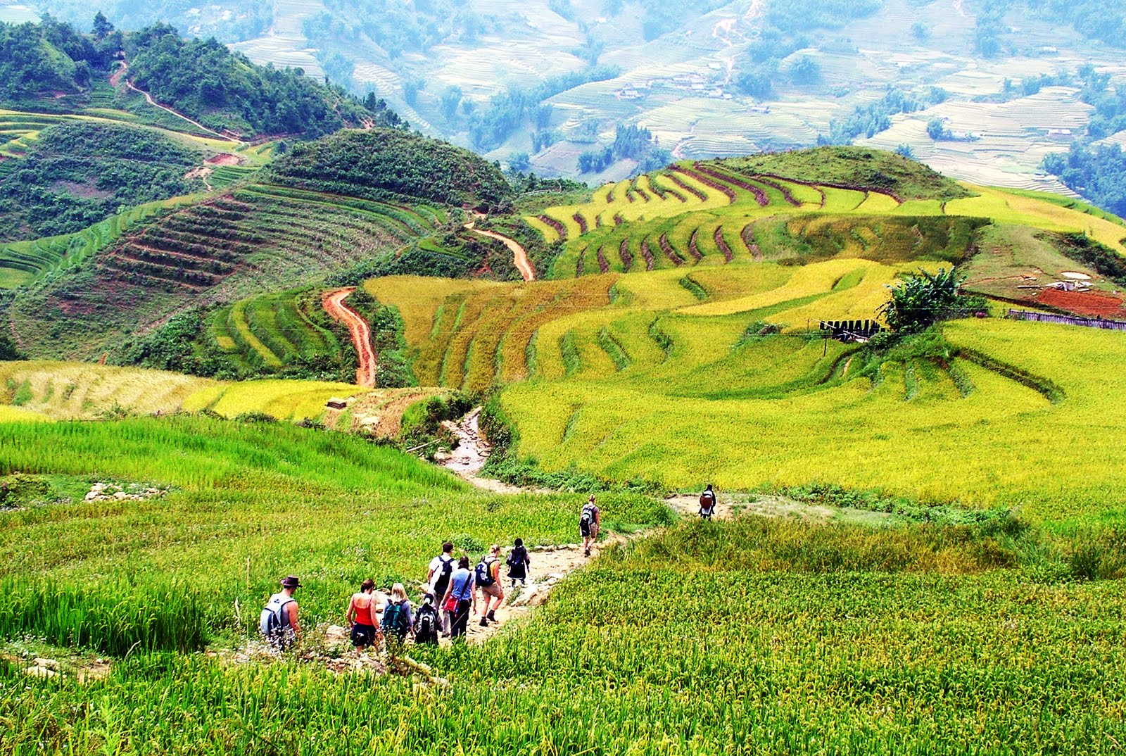 Trekking giữa ruộng bậc thang.