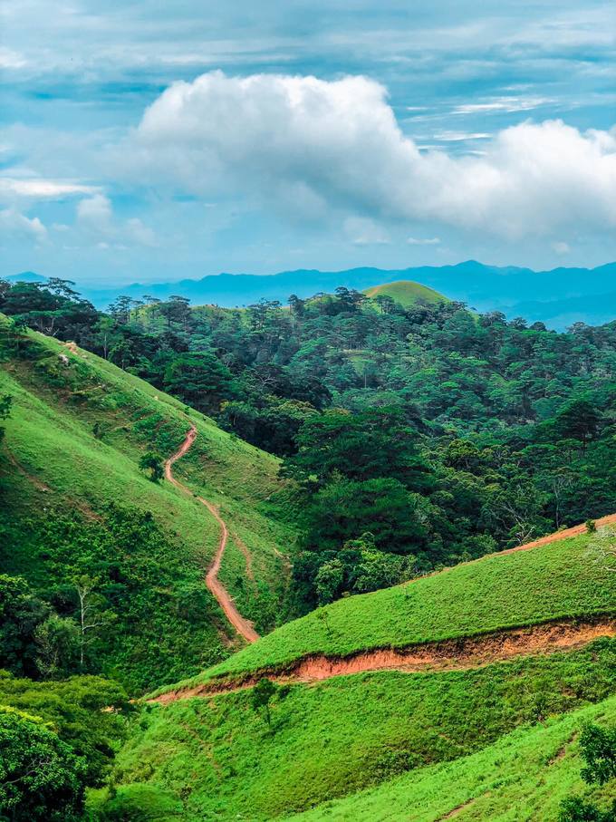 Trekking Tà Năng mùa cỏ xanh phủ kín ngọn đồi