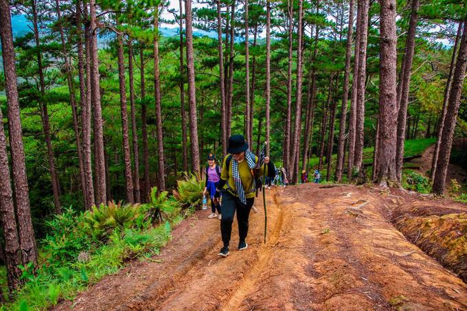 trekking-ta-nang-mua-co-phu-xanh-ca-ngon-doi-ivivu-10 trekking-ta-nang-mua-co-phu-xanh-ca-ngon-doi-iVIVU-10