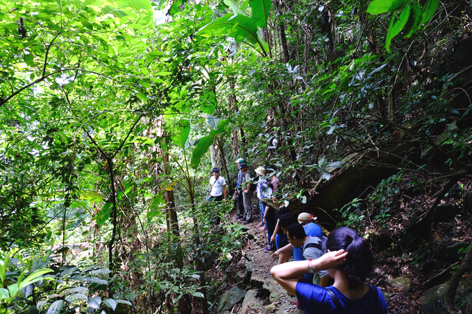 Hiện Vườn quốc gia Ba Vì mở thêm nhiều chặng trek ngắn phù hợp cho cả người nghiệp dư lẫn chuyên nghiệp. Trong đó có tuyến đi dễ kéo dài khoảng 2 tiếng bắt đầu từ Cốt 1.100 m hướng xuống Cốt 400 m.
