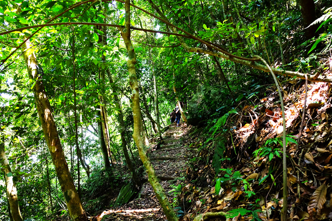 Không có nhiều du khách biết tới các tuyến trek trong rừng ở Ba Vì nên bạn có thể thỏa sức khám phá mà không sợ đông đúc. Đi bộ trong rừng vắng, chỉ có tiếng chân đạp lên thảm lá mục, tiếng chim hót, và tiếng lá xào xạc trên đầu khiến ai cũng cảm thấy khoan khoái.