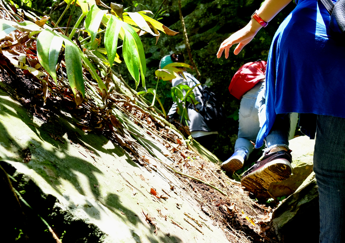 Đi trek trong rừng bạn chú ý chuẩn bị giày, tất, nên mặc quần áo dài, đội mũ, dùng thuốc xịt côn trùng... Đồ đạc mang theo cần gọn nhẹ, nên đeo balô để cân bằng khi di chuyển. Chuyến đi ngắn nên bạn không nhất thiết phải mang theo nhiều đồ ăn, nước uống.