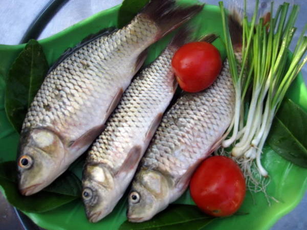 Cá chép mới đánh bắt còn tươi rói - Ảnh: MINH KỲ