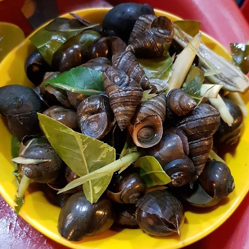 Ốc luộc Hà Nội ngon tại quán chị Lệ