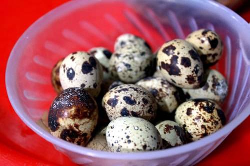 Trứng cút lộn món ăn đường phố Hà Nội