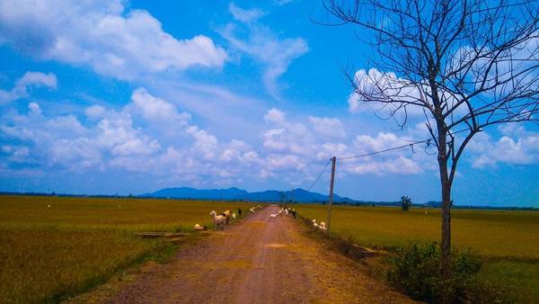 tu-phuong-that-dao-ivivu-14