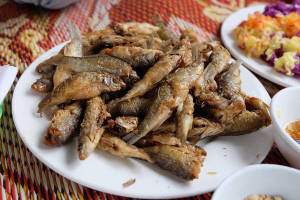 tu-van-kinh-nghiem-du-lich-sapa-vo-cung-huu-ich-cua-anh-chang-hotboy-9x-ivivu-3